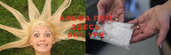 гидра Абаза
