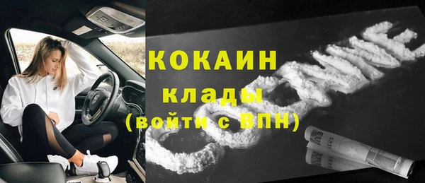 гидра Абаза