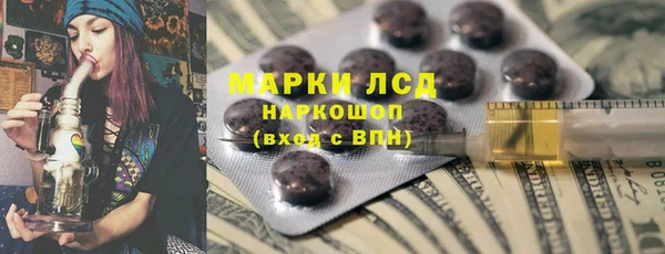гидра Абаза