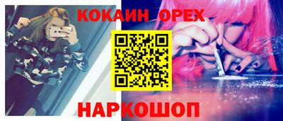 СК Гатчина