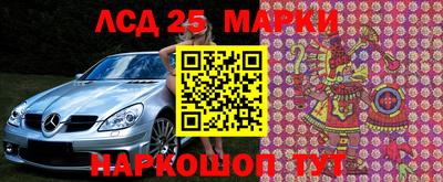 СК Гатчина