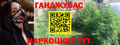 СК Гатчина