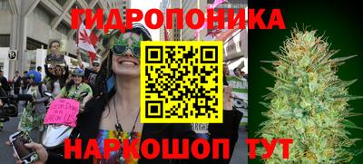 амфетамин Гай