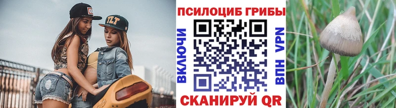 Псилоцибиновые грибы Cubensis Керчь