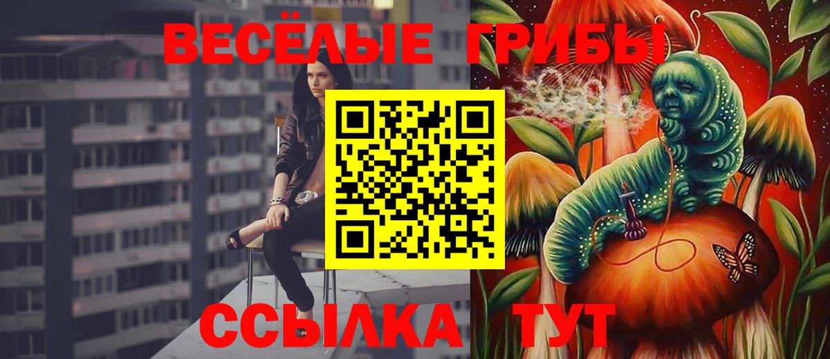 Псилоцибиновые грибы мицелий Керчь