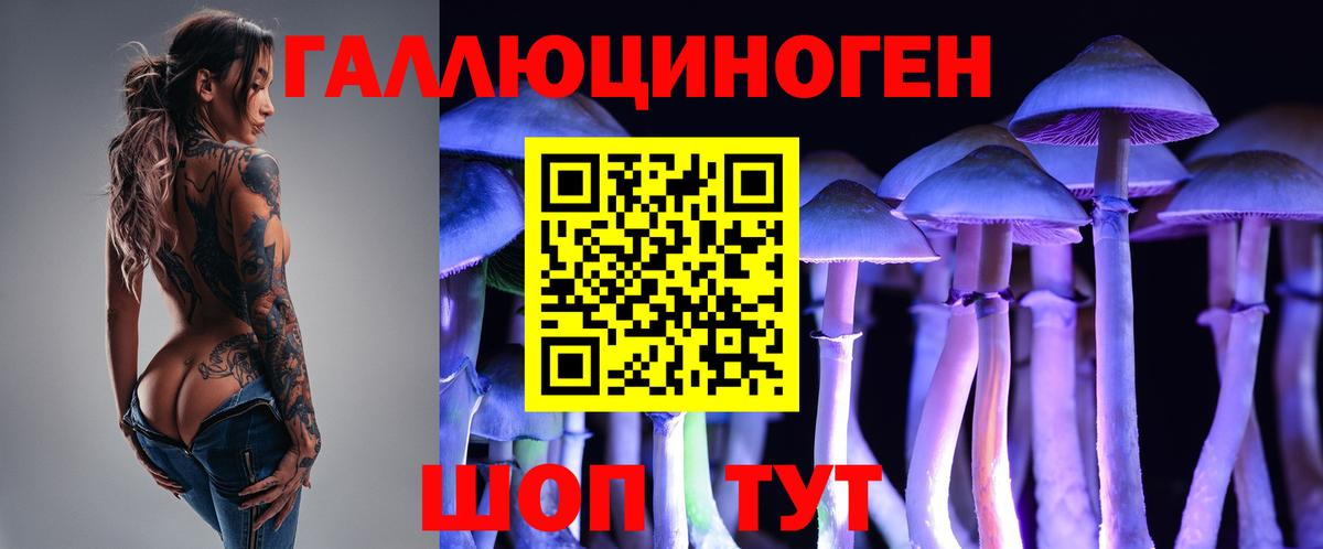 Керчь  Галлюциногенные грибы GOLDEN TEACHER  Вход с VPN 